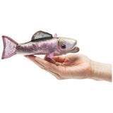 Folkmanis Mini Rainbow Trout 7 Inch Finger Puppet - Radar Toys