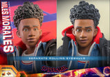 Hot Toys Marvel Spider-Man Miles Morales Sixth Scale Figure - Radar Toys