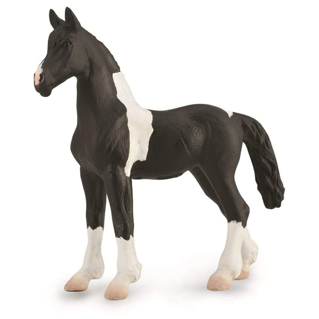 CollectA Barock Pinto Foal Horse Figure 88893