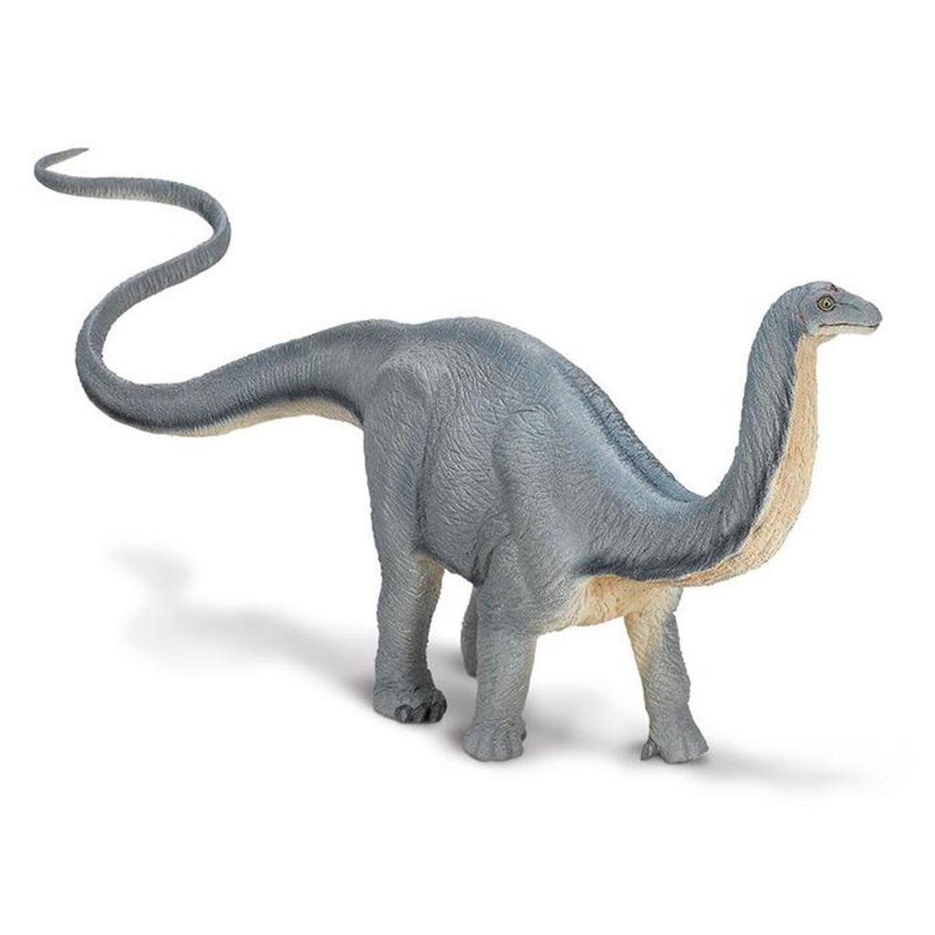 Apatosaurus Wild Safari Dinosaur Figure Safari Ltd - Radar Toys