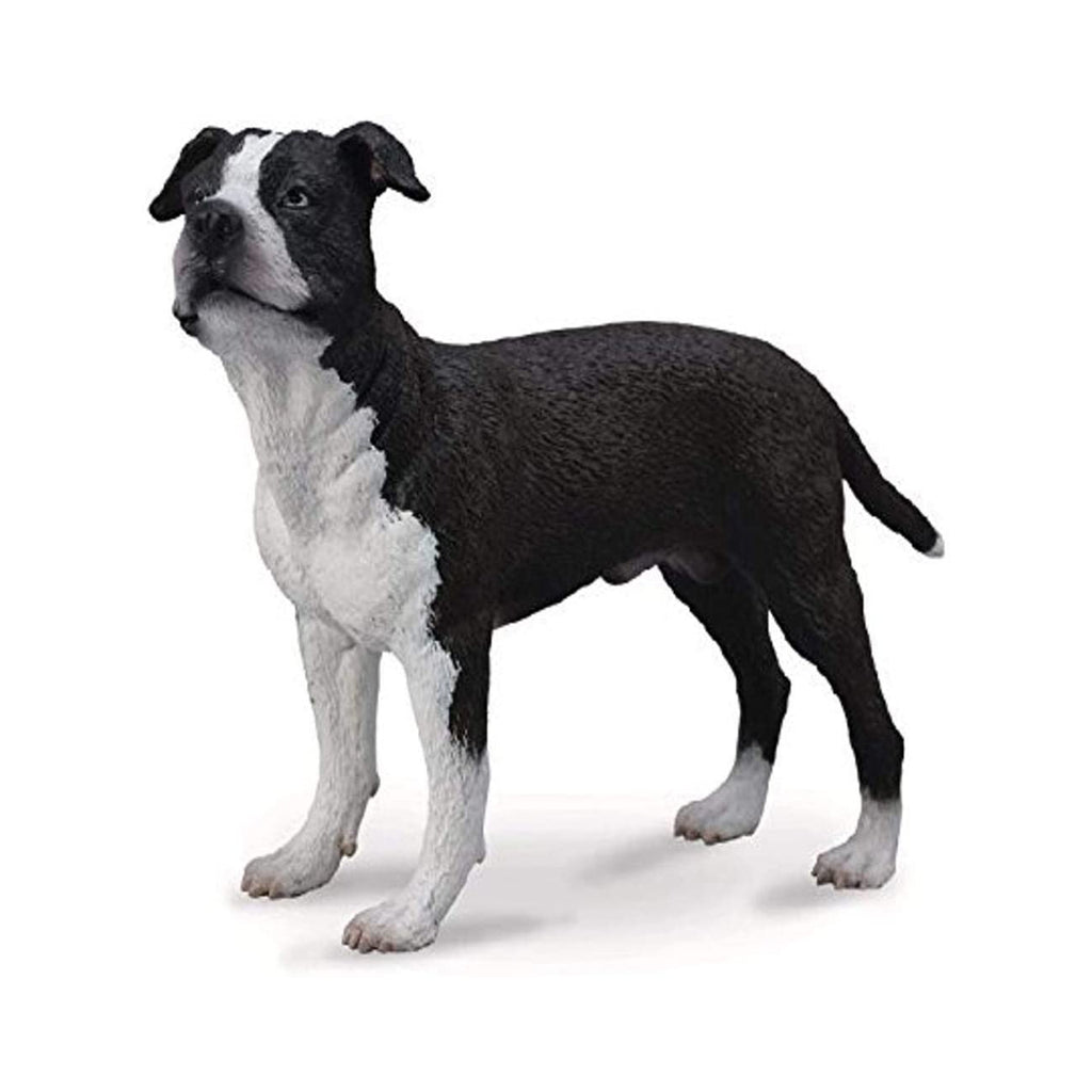 CollectA American Staffordshire Terrier Animal Figure 88610 - Radar Toys