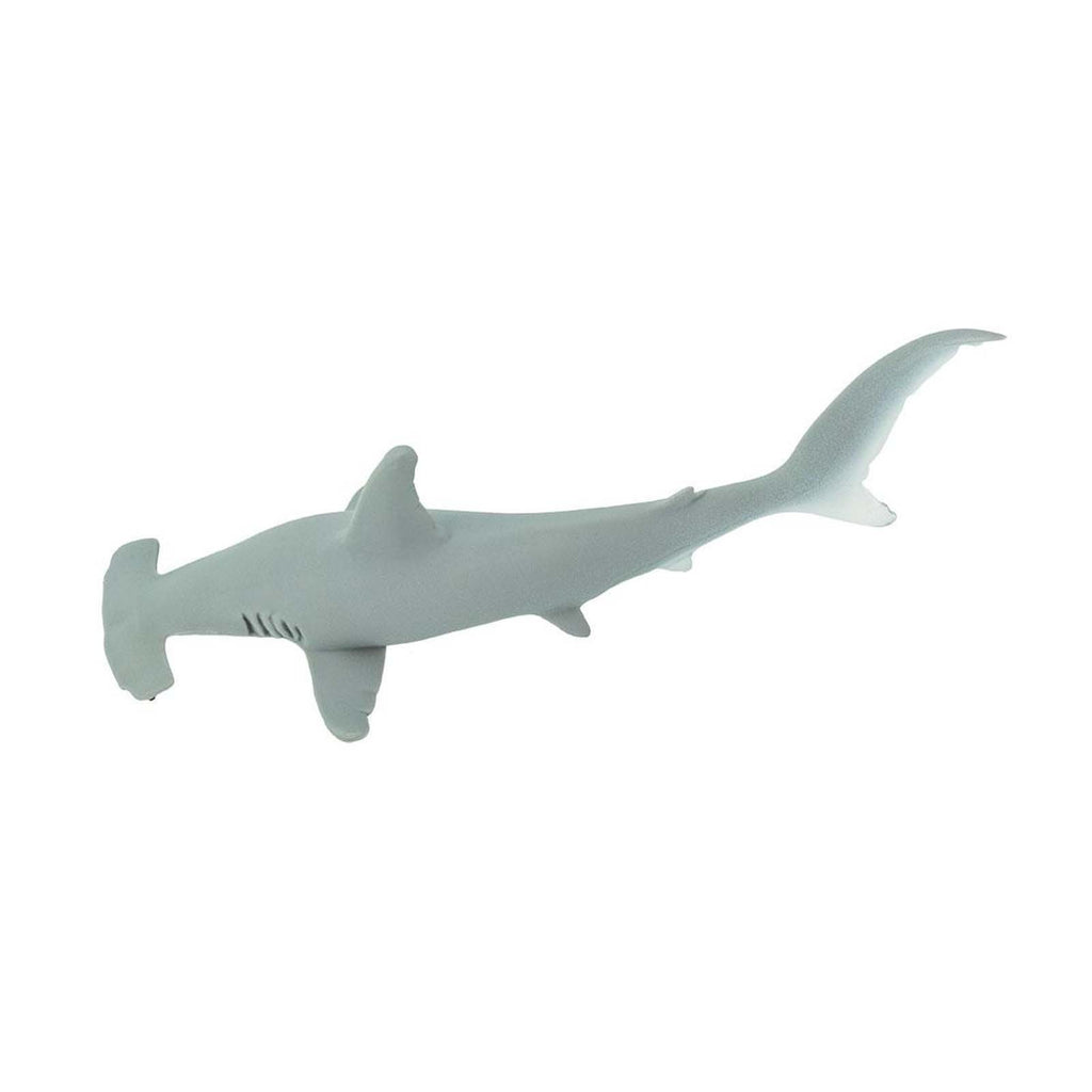 Hammerhead Shark Monterey Bay Sea Figure Safari Ltd - Radar Toys