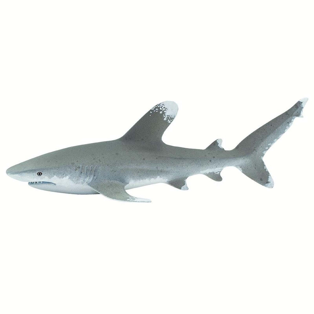 Oceanic Whitetip Shark Wild Safari Ocean Figure Safari Ltd 100271 - Radar Toys