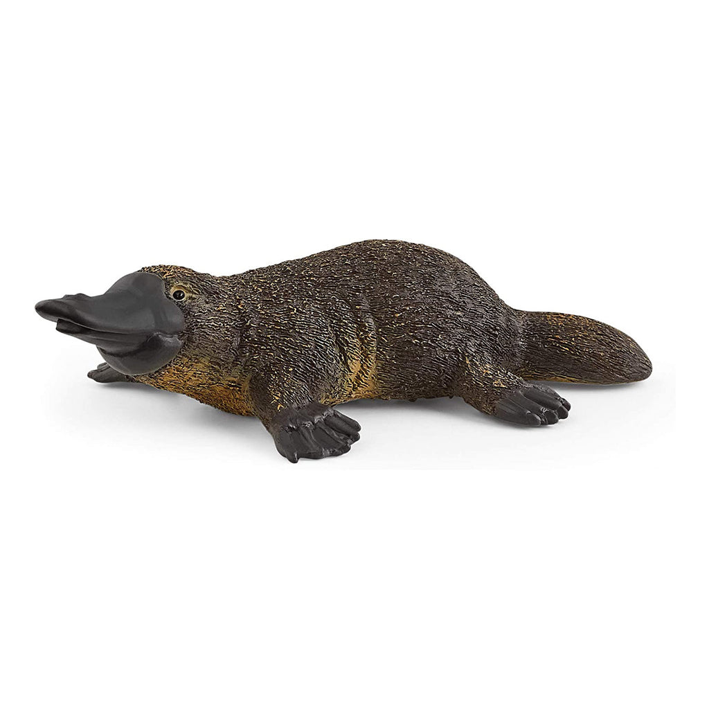 Schleich Platypus Animal Figure 14840 - Radar Toys