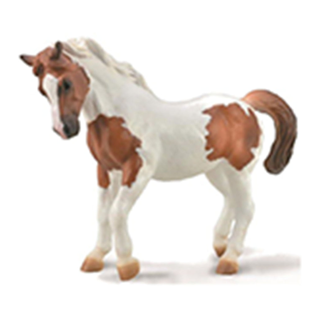 CollectA Chincoteaguew Pony Horse Figure 88929