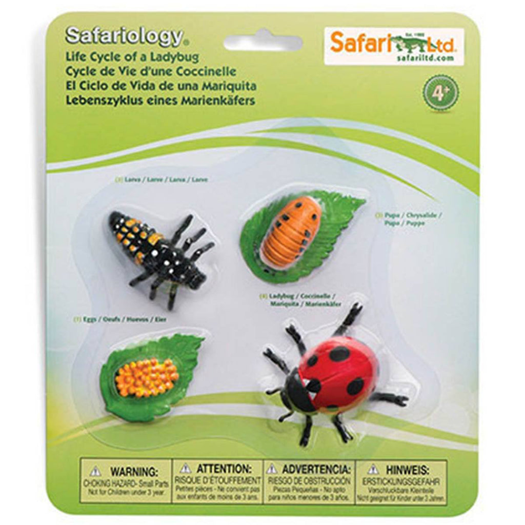Life Cycle Of A Ladybug Figures Safari Ltd - Radar Toys