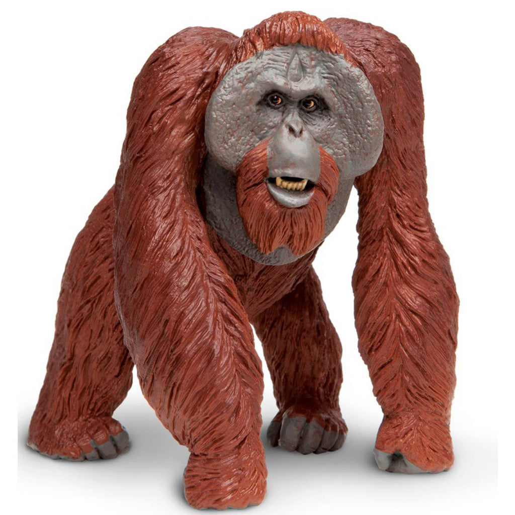 Bornean Orangutan Wildlife Wonders Figure Safari Ltd - Radar Toys