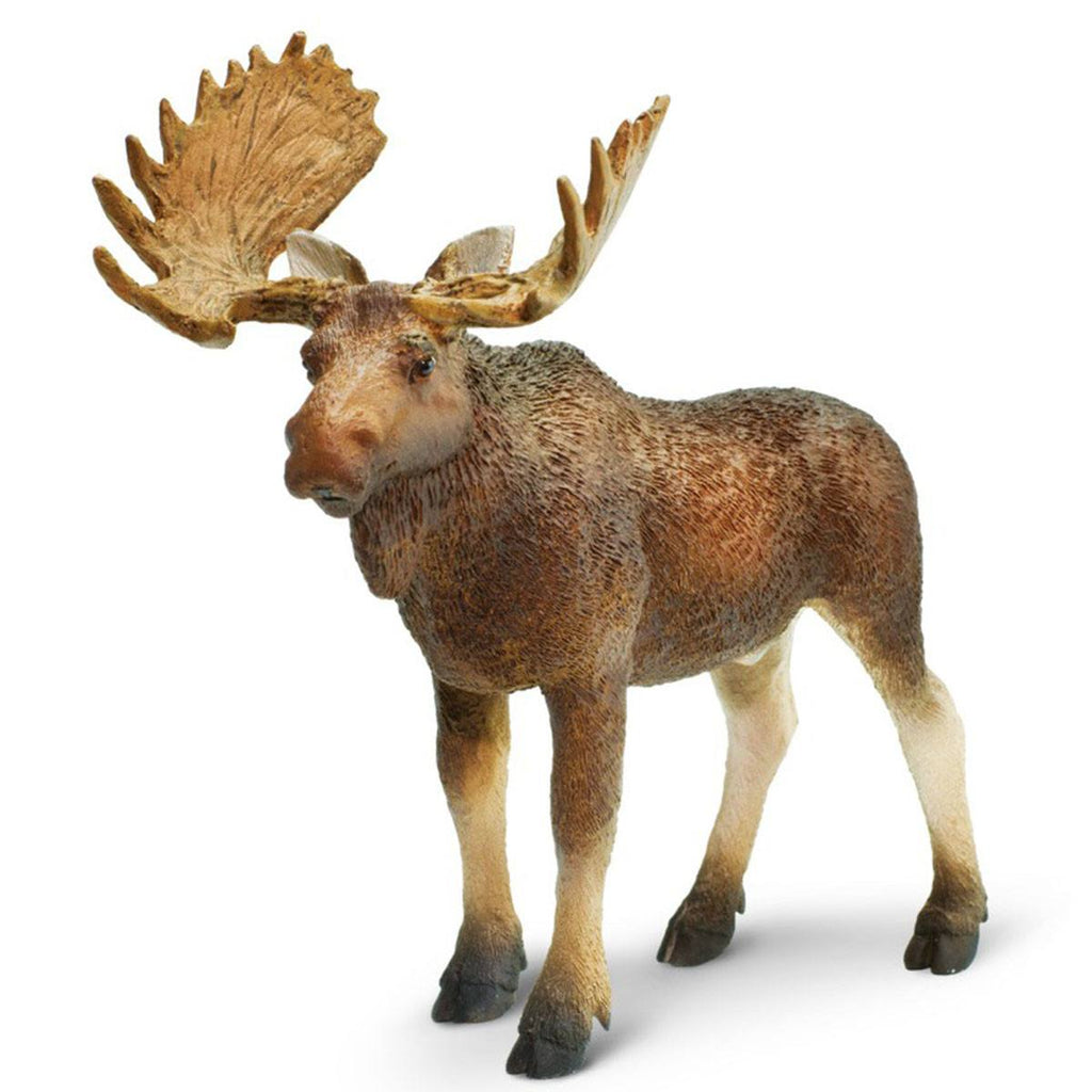 Bull Moose North American Wildlife Figure Safari Ltd