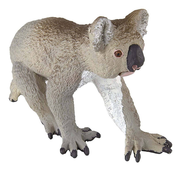 mammal-figures-koala-wild-