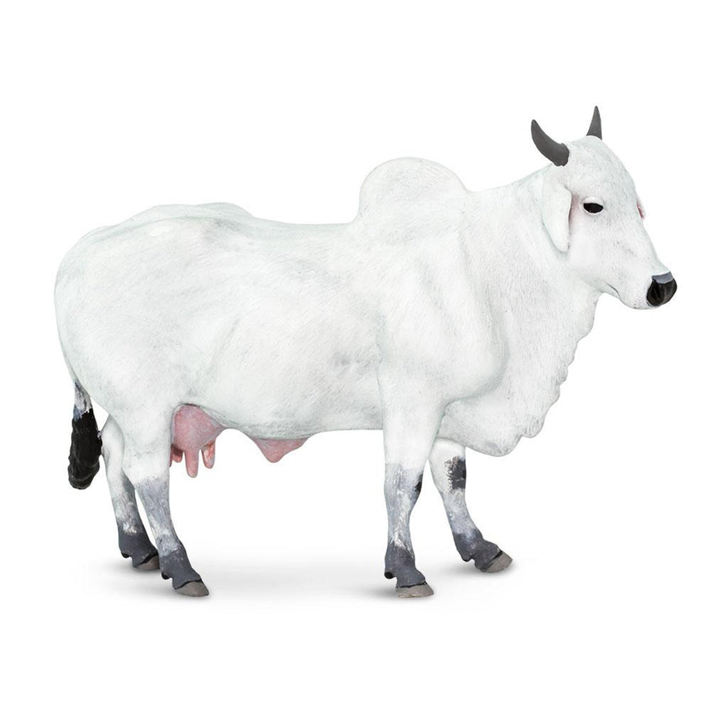 Ongole Cow Animal Figure Safari Ltd 100150