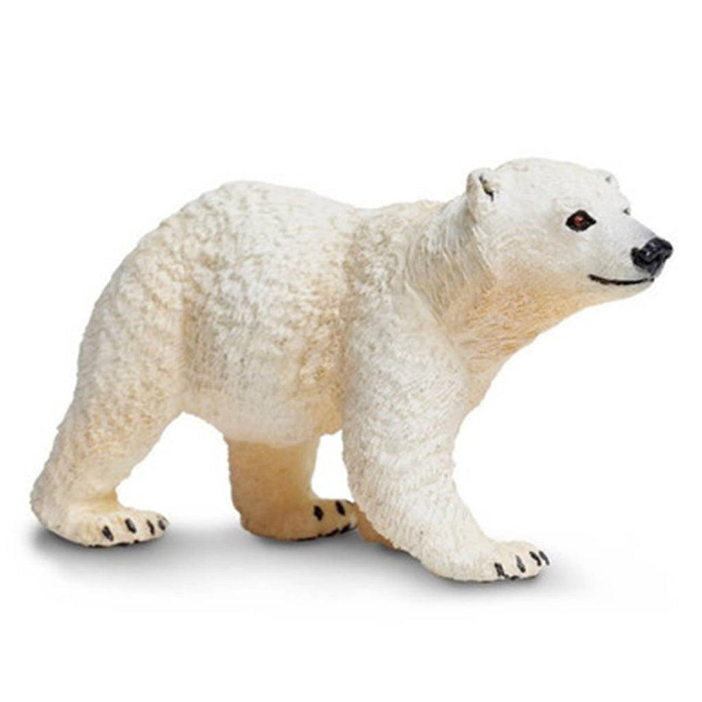 Polar Bear Cub Sea Life Safari Ltd