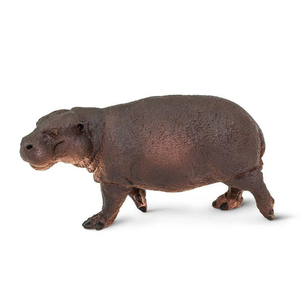Pygmy Hippo Animal Figure Safari Ltd 229229 | Radar Toys