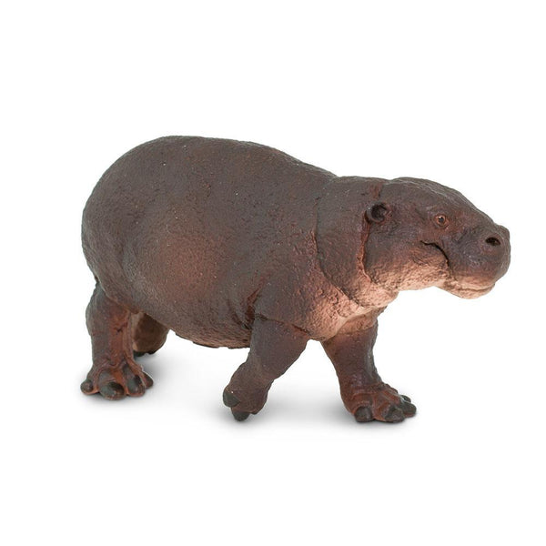 Pygmy Hippo Animal Figure Safari Ltd 229229 | Radar Toys