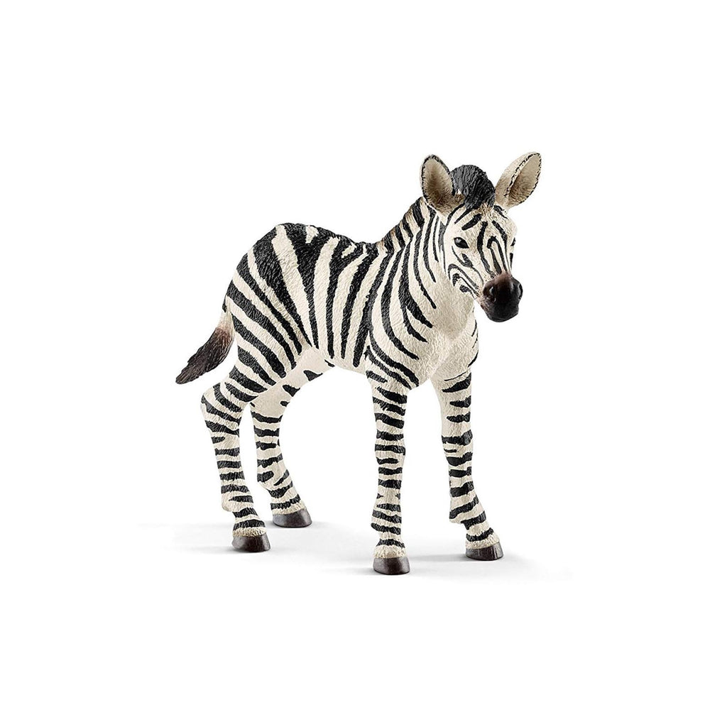 Schleich Zebra Foal Animal Figure - Radar Toys