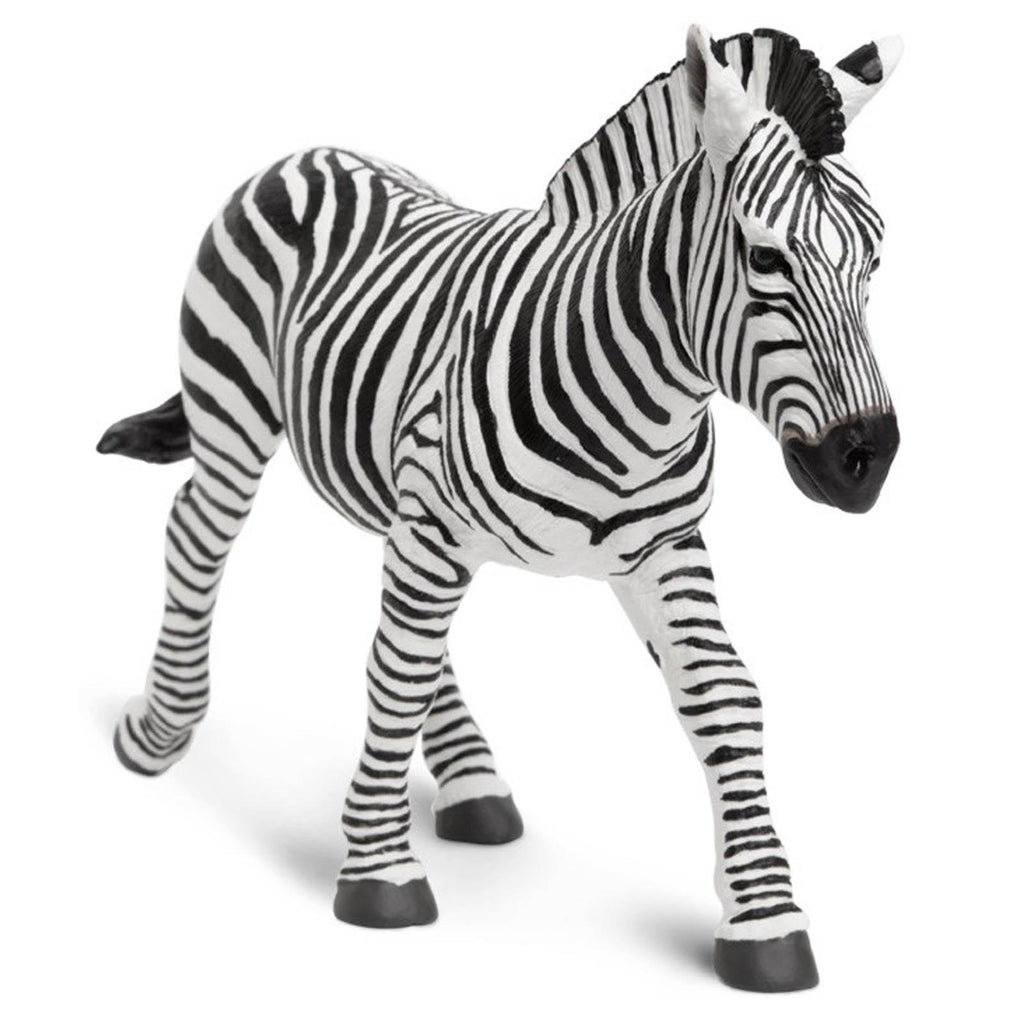 Zebra Wildlife Wonders Figure Safari Ltd - Radar Toys