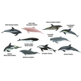 Dolphins Toob Animal Figures Safari Ltd 100475 - Radar Toys