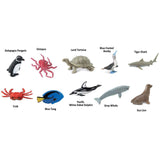 Pacific Toob Ocean Figures Safari Ltd 100308 - Radar Toys