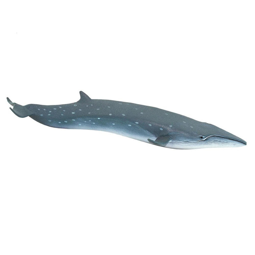 Sei Whale Ocean Figure Safari Ltd 100098 - Radar Toys