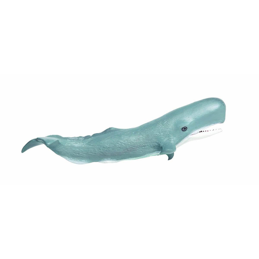 Sperm Whale Sea Life Safari Ltd - Radar Toys