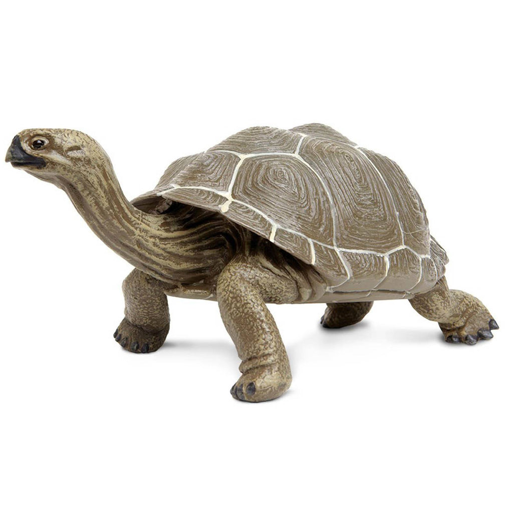 Tortoise Large Incredible Creatures Figure Safari Ltd - Radar Toys