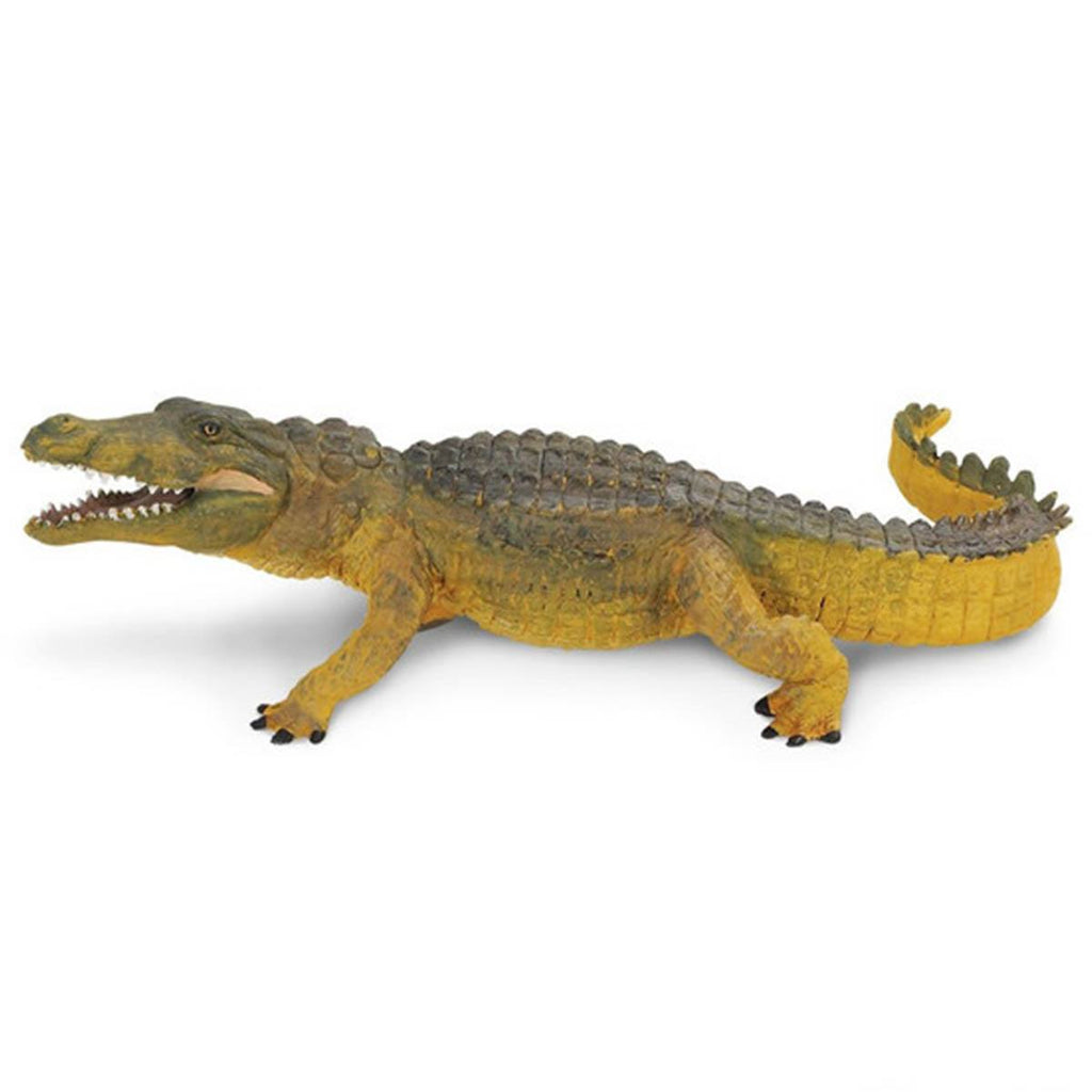 Crocodile Wildlife Safari Ltd - Radar Toys