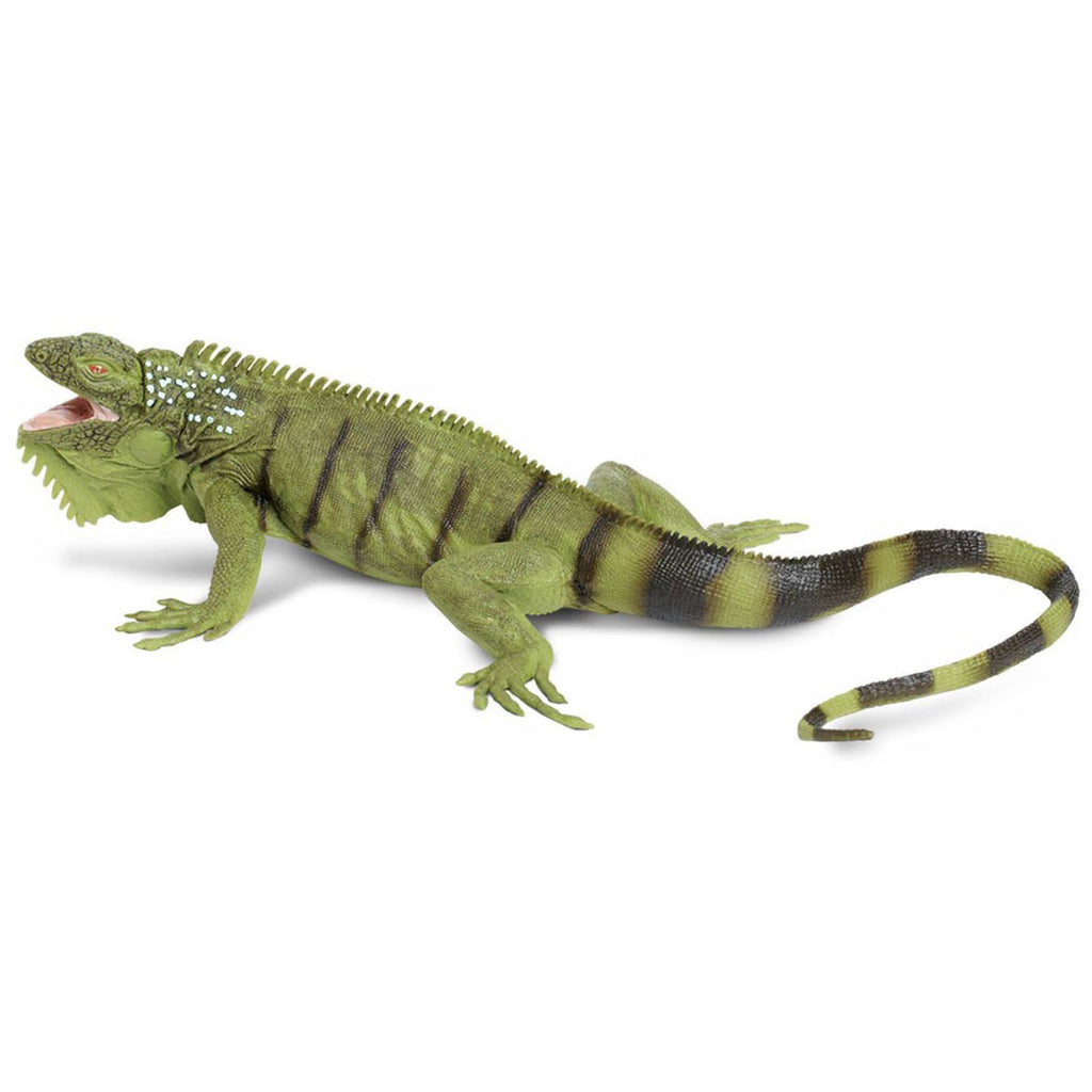 Iguana Incredible Creatures Figure Safari Ltd - Radar Toys