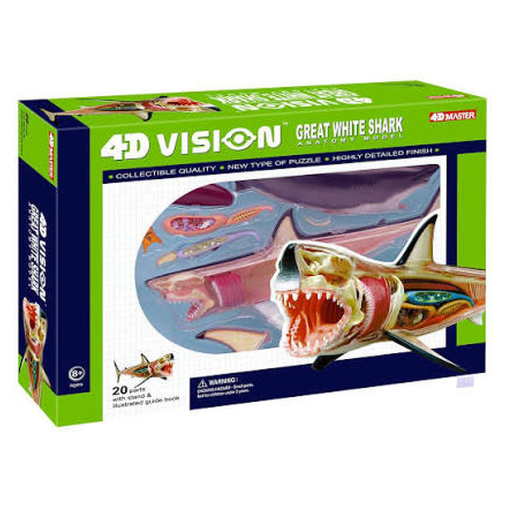 4D Vision Great White Shark Anatomy Set
