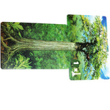 Canopy Card Game - Radar Toys