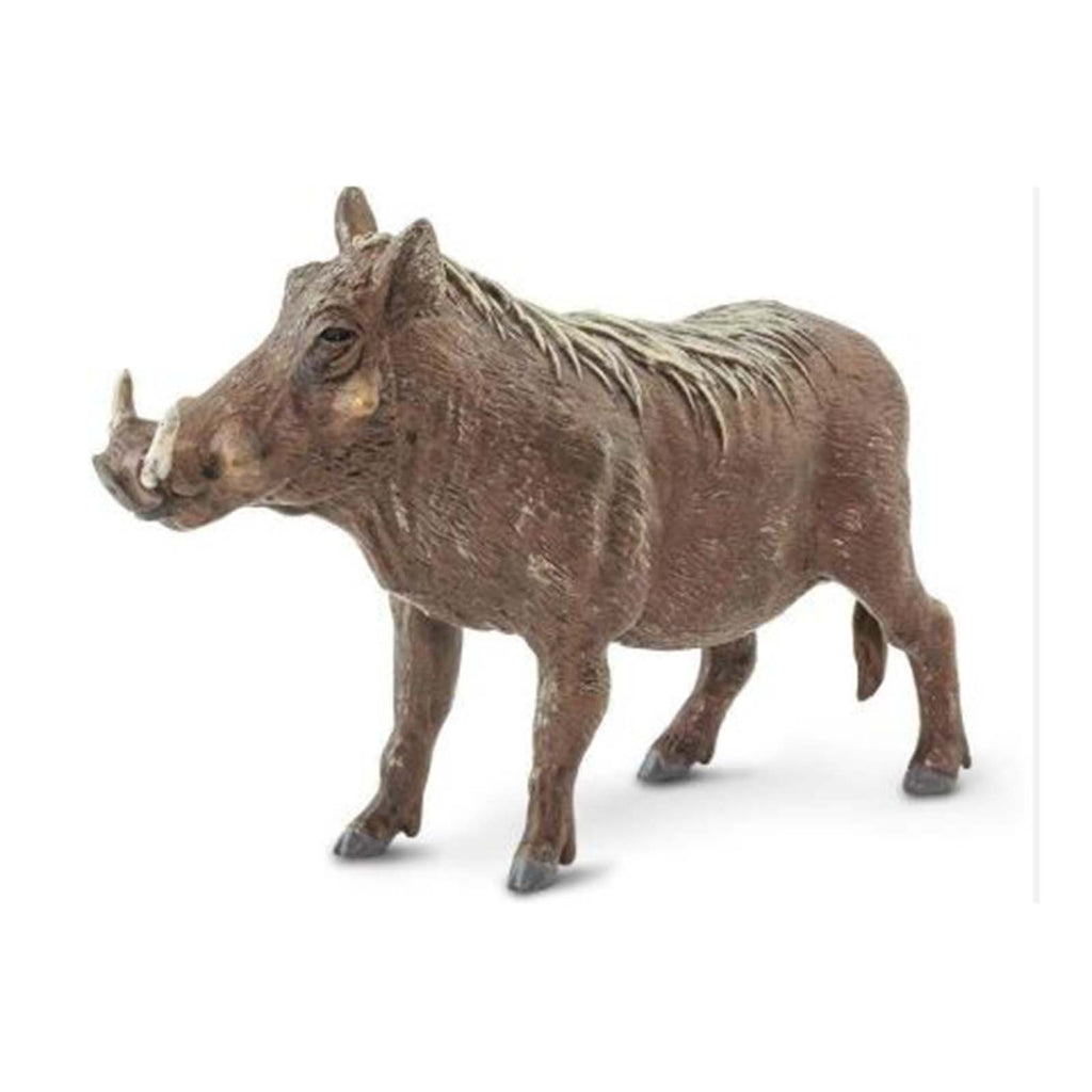 Safari Ltd Warthog Animal Figure 100512 - Radar Toys