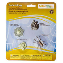 Safari Ltd Safariology Life Cycle Of A Spider Figures 100406 - Radar Toys