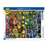 New York Puzzle Rainbow Of Birds 1000 Piece Jigsaw Puzzle - Radar Toys