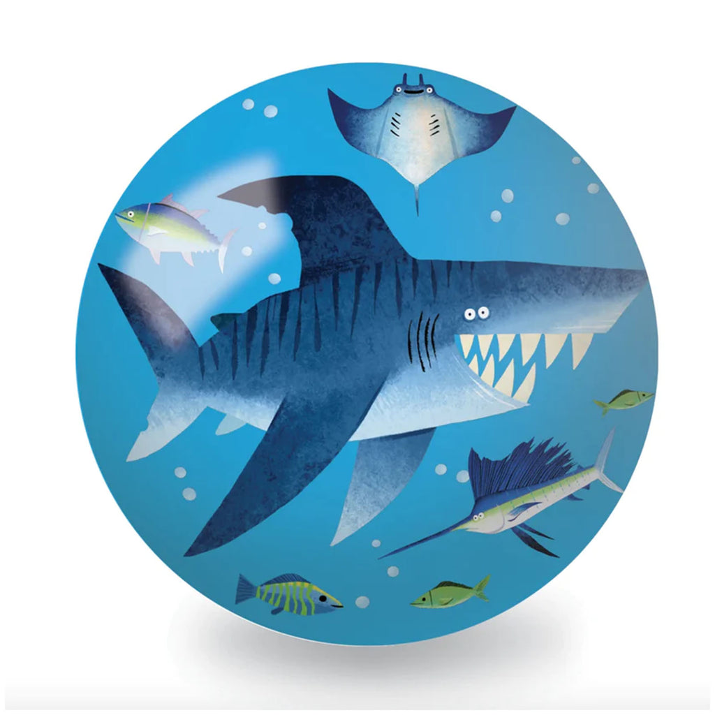 Crocodile Creek Shark Reef 4 Inch Playball - Radar Toys