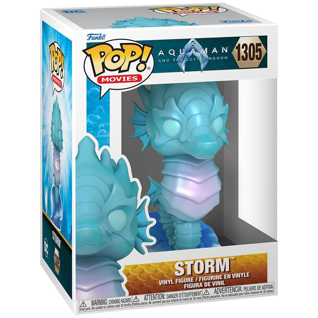 Funko DC Aquaman And The Lost Kingdom POP Storm Vinyl Figure