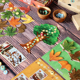 Leaf Board Game - Radar Toys