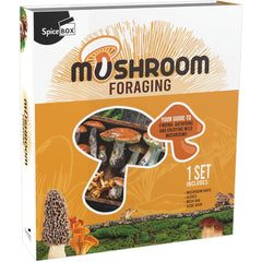 Spice Box Foraging For Mushroom Set - Radar Toys