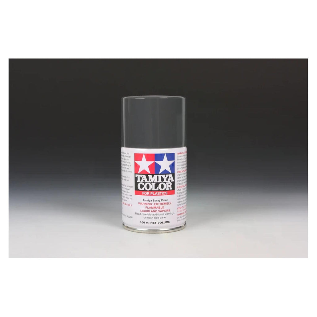 Tamiya Color For Plastics TS-4 German Grey 100ml Spray Paint Can TAM85004
