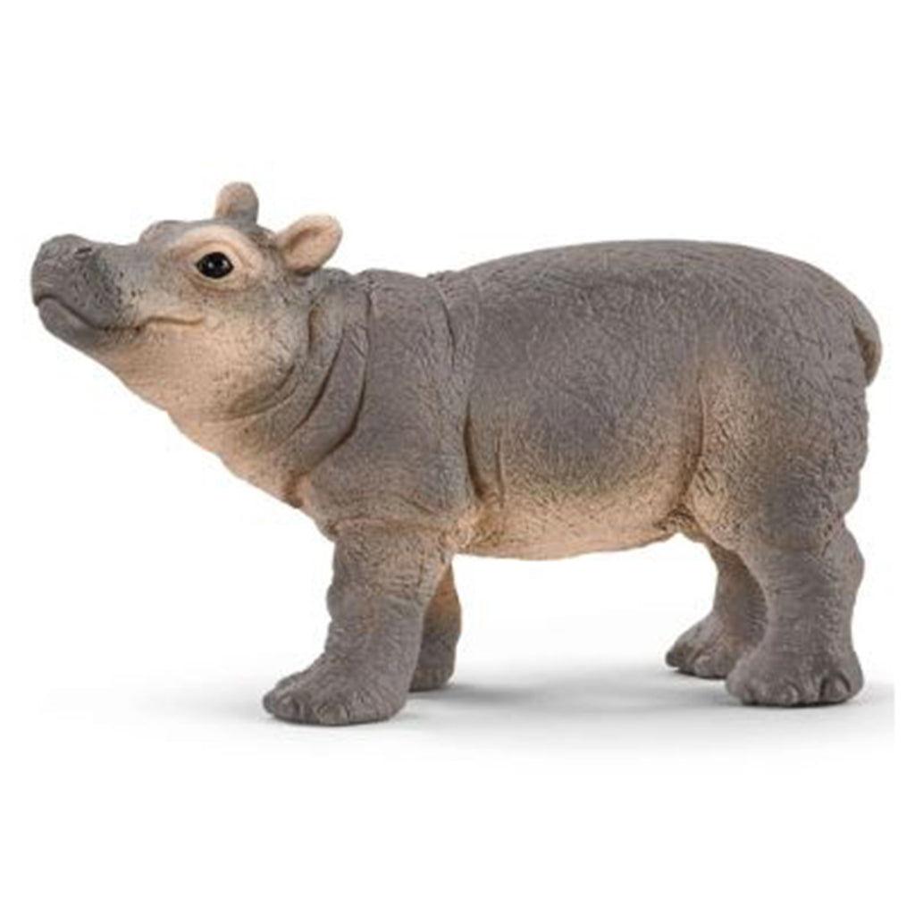 Schleich Baby Hippo Animal Figure 14831