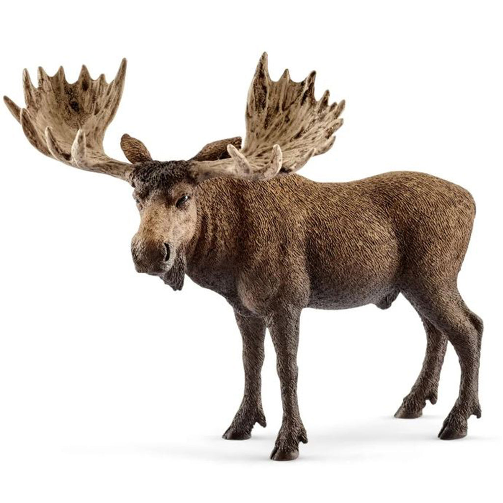 Schleich Moose Bull Animal Figure 14781 - Radar Toys