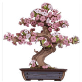 Robotime Rolife Sakura Bonsai 3D Puzzle Creation Set - Radar Toys