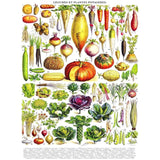 New York Puzzle Vegetables Legumes 1000 Piece Jigsaw Puzzle - Radar Toys