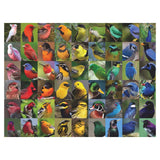 New York Puzzle Rainbow Of Birds 1000 Piece Jigsaw Puzzle - Radar Toys