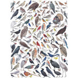 New York Puzzle Walk Birds Of Eastern Central North America 1000 Piece Jigsaw Puzzle - Radar Toys