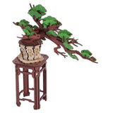 Robotime Rolife Evergreen Pine Bonsai 3D Puzzle Creation Set - Radar Toys