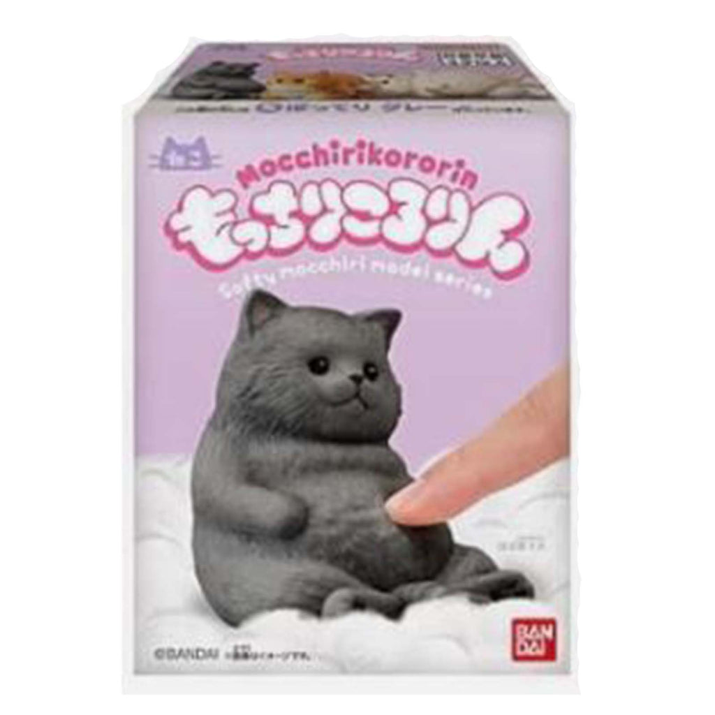 Bandai Mocchiri Kororin Cats Gray Sitting Down Single Blind Box