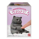 Bandai Mocchiri Kororin Cats Gray Sitting Down Single Blind Box - Radar Toys