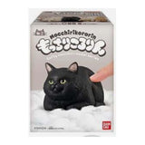 Bandai Mocchiri Kororin Cats Black Sitting Down Single Blind Box - Radar Toys