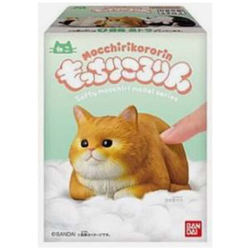 Bandai Mocchiri Kororin Cats Orange Sitting Down Single Blind Box