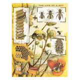 New York Puzzle Bees And Honey 1000 Piece Jigsaw Puzzle - Radar Toys