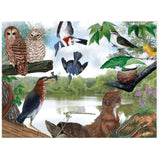 New York Puzzle Summer Trail 1000 Piece Jigsaw Puzzle - Radar Toys