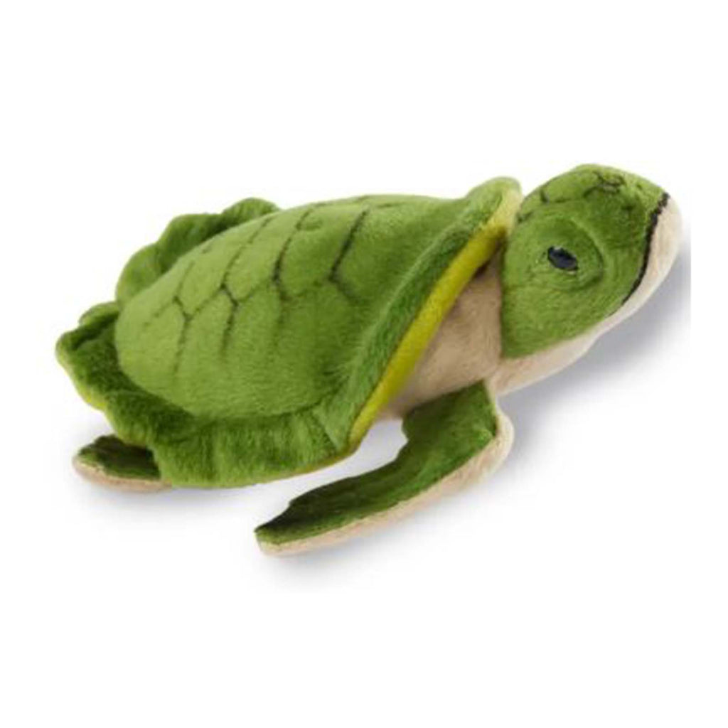 Giffa Glades Turtle 5 Inch Plush Figure